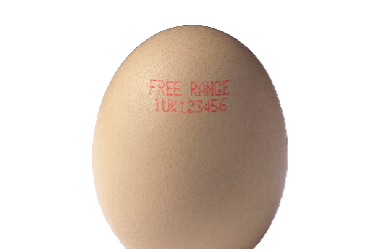 Expiry Date Printer